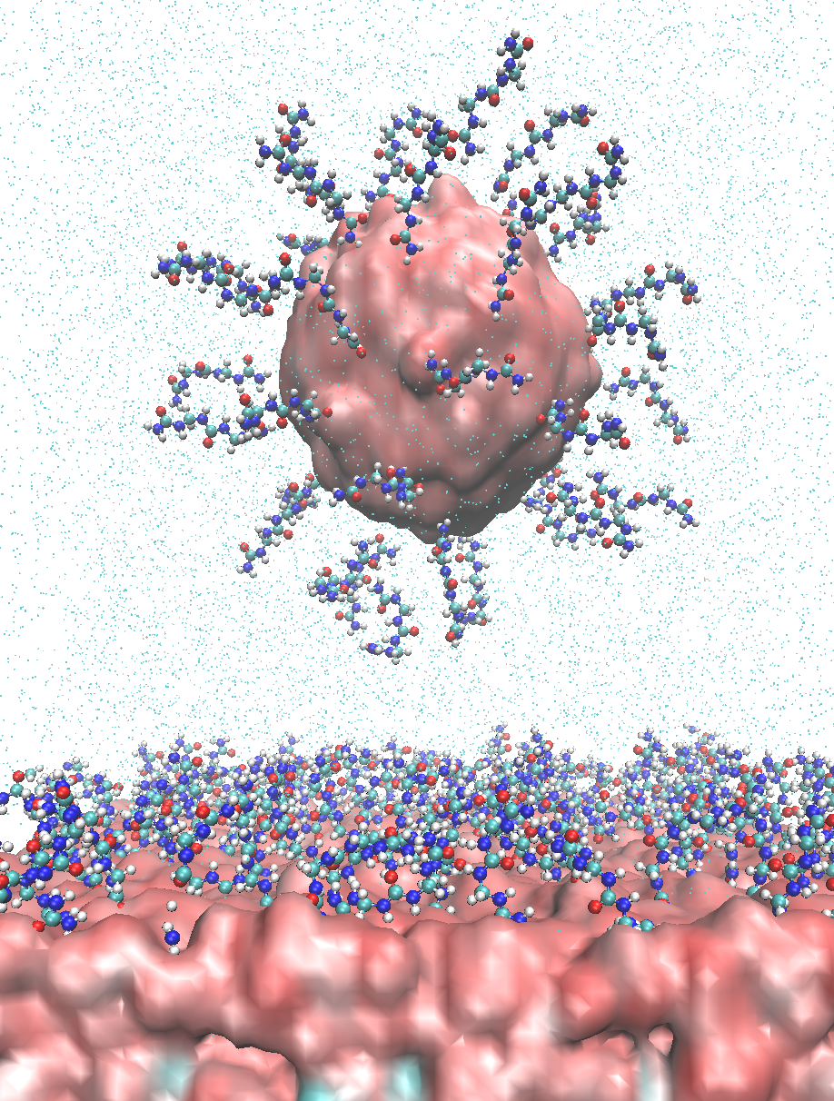 Molecule Builder